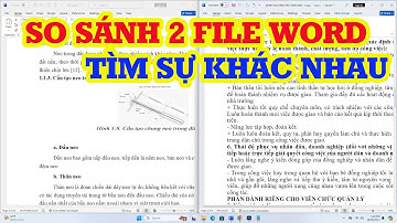 Cách so sánh 2 file word tìm điểm khác nhau