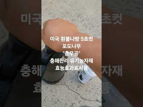 2025년 6월 28일