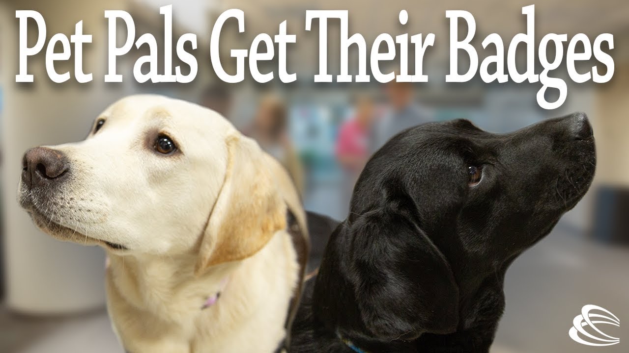 center for reproductive rights Dogs with Badges at Carilion Clinic