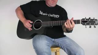 Rainsong P12S Carbon Fiber Acoustic Guitar The Music Gallery