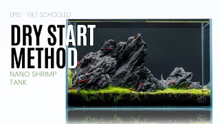 The Fastest Aquascape and Nano Planted Tank Dry Start Method  EP11 Get Schooled