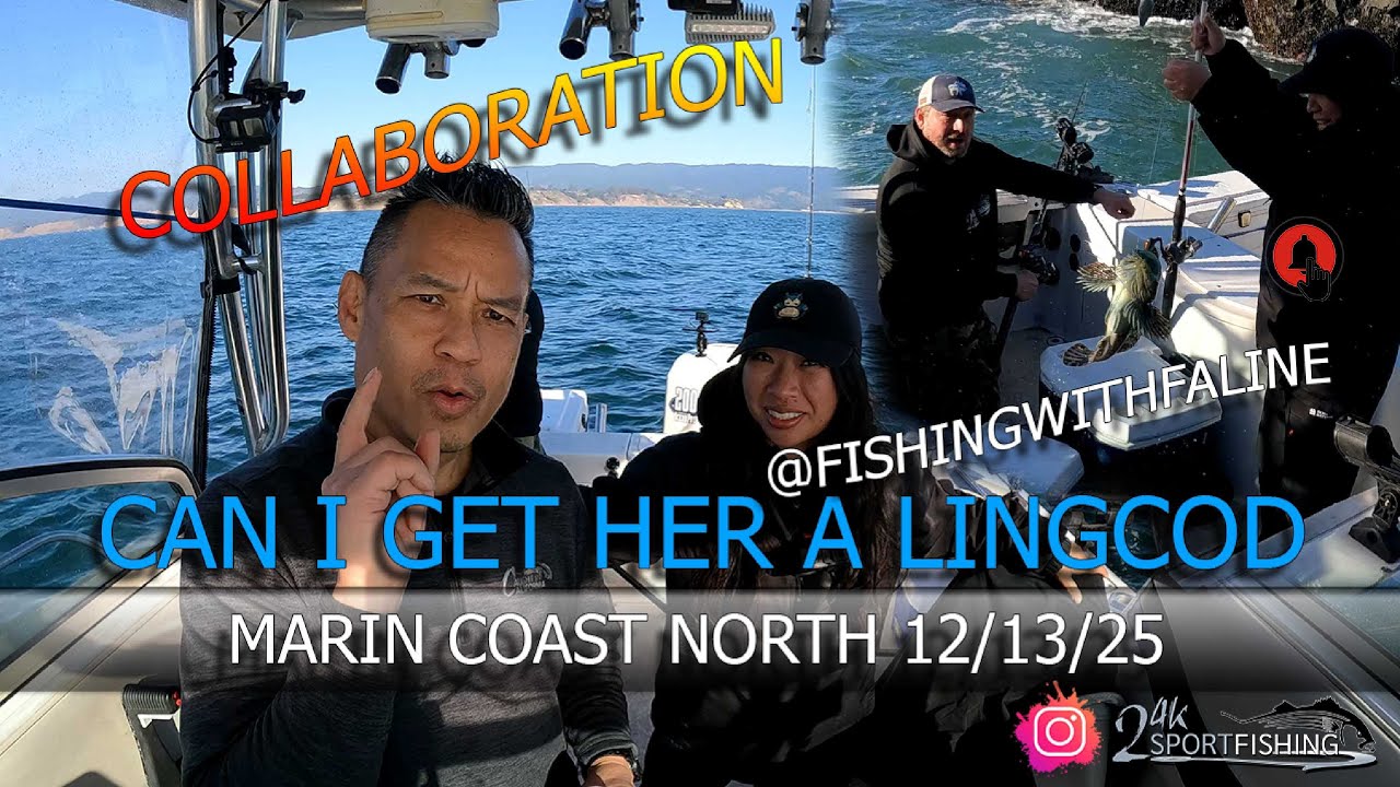 Lingcod Collaboration With 