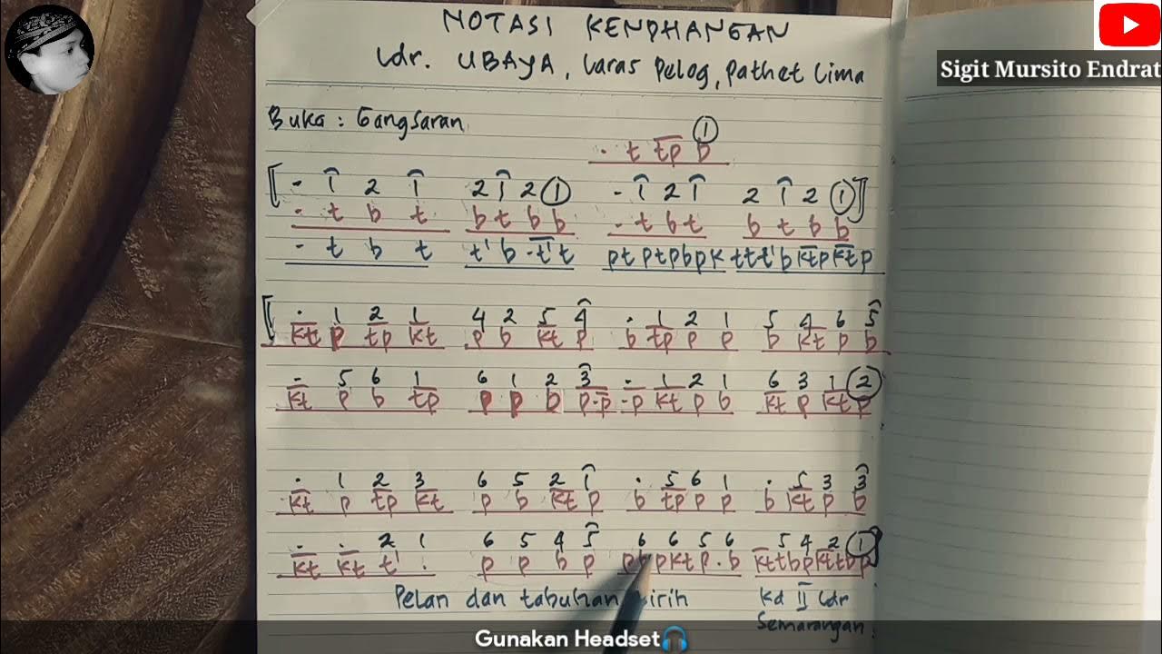 Maymun va qiz bilan jinsiy aloqa