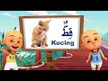 Quiz về Video Hướng Dẫn