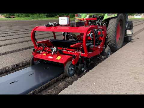 Pumpkin seeding with Modula JET | FORIGO Roteritalia