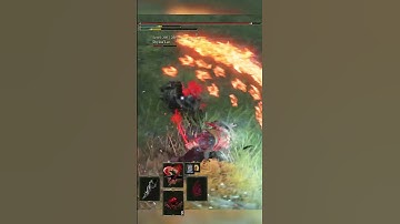 sorcerer vs martial artist knight | Elden ring pvp