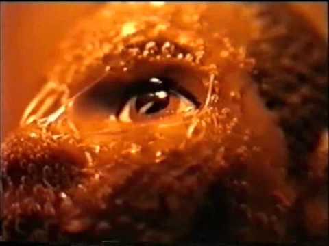 Energizer - Part 1 - The Intro - YouTube