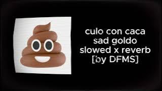 culo con caca - sad goldo #slowed #reverb [by DFMS]