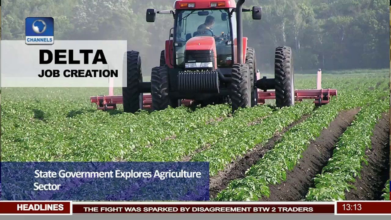 Delta Job Creation State Government Explores Agriculture Sector YouTube
