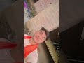 #bullymaguire