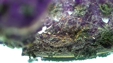 Forgot to reverse servo Inav 1.9