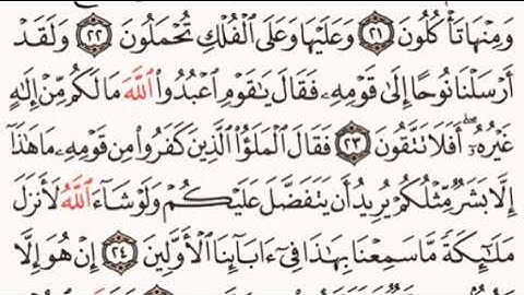 الصفحة رقم 343 الشيخ ماهر المعيقلي - القرآن الكريم - Quran