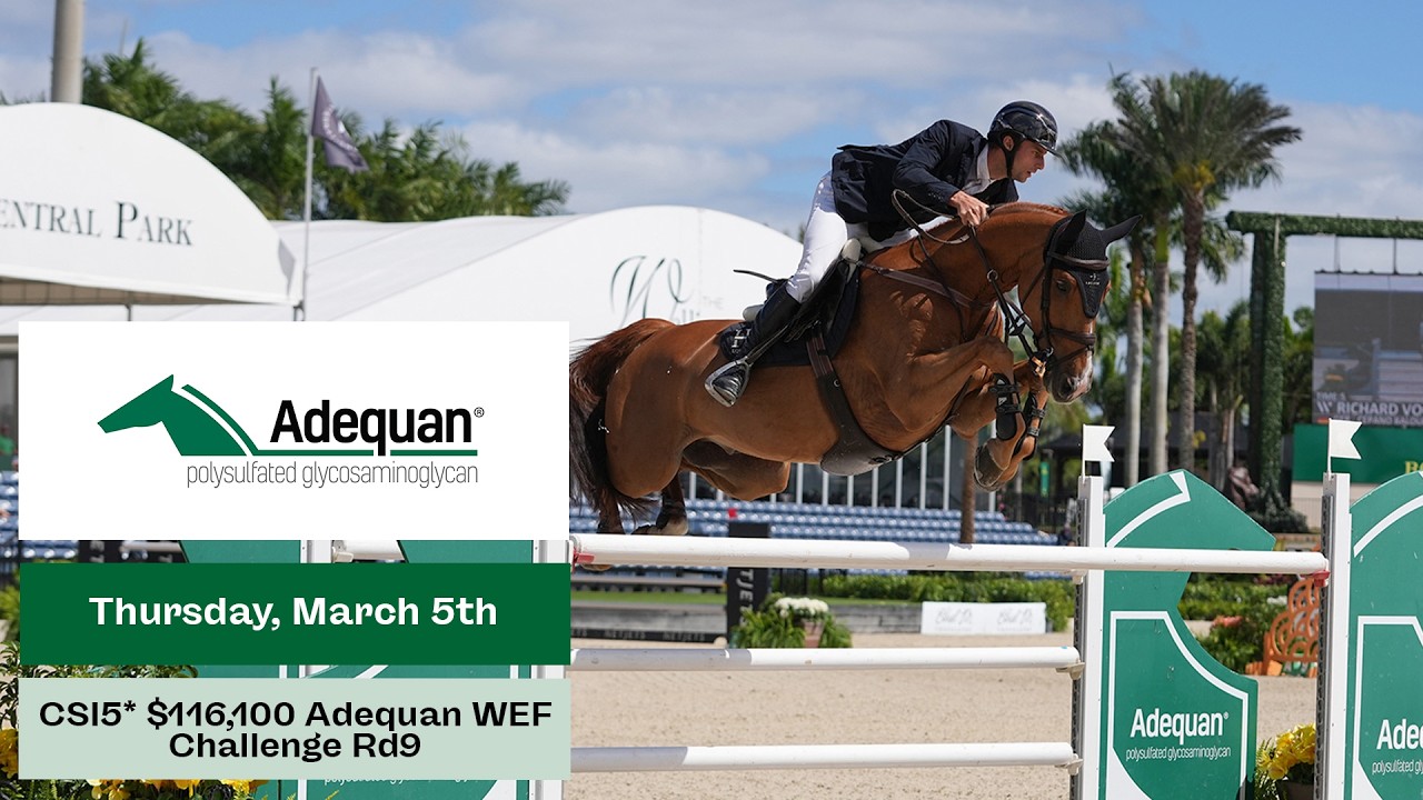 Watch Live: $116,100 CSI5*  Adequan WEF Challenge Rd9