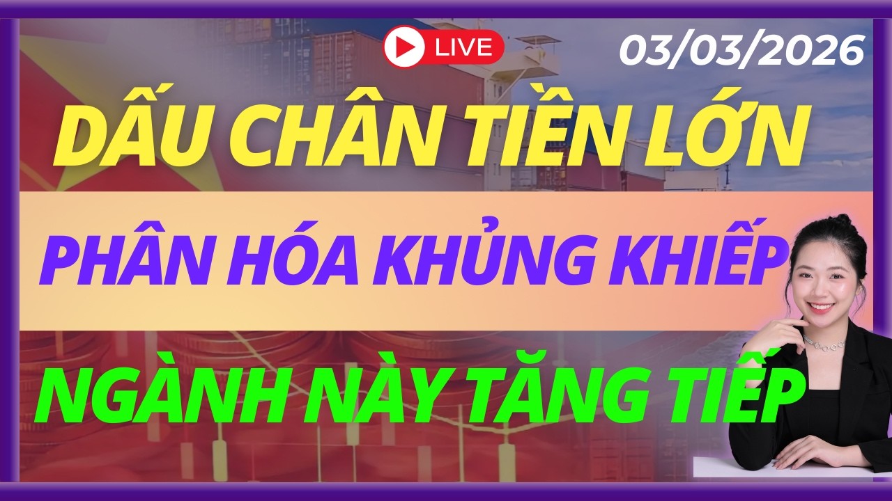 PHÂN HÓA KHỦNG KHIẾP NGÀNH NÀY TĂNG TIẾP | LIVESTREAM | DAILY