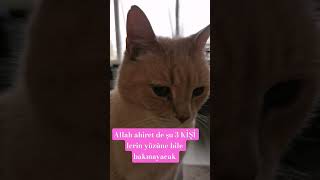 Allah Ahiret De Şu 3 Ki̇şi̇ Lerin Yüzüne Bile Bakmayacak