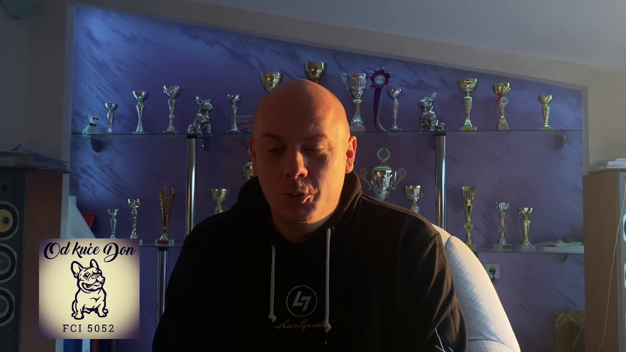 Sergej Pajic “intervju” ...  Francuski buldog Od Kuće Don