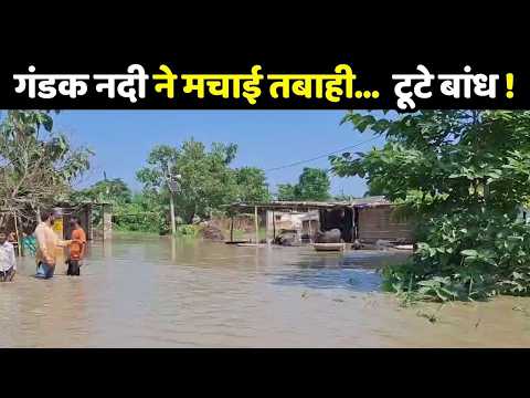Bihar Flood Update: गंडक नदी ने मचाई तबाही...कई जगह टूटे बांध !