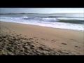 Música Tradicional Catalana-La Calma de La Mar-Havanera-Nicolau Guanyavents.