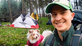 Forest wild camping in the MSR Elixir 2 in the wind and rain - Peak District