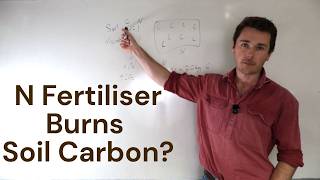 Does Nitrogen Fertiliser Burn Soil Carbon?