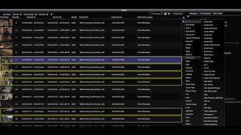 Learning Baselight Look #7 - How To Organize Media Using the Shots View In Baselight Look