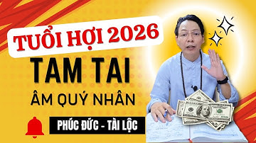 Tuổi Hợi 2026 Tam Tai Chỉ Là Thử Thách – Phúc Đức  Quý Nhân đem Giàu Sang