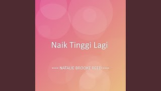Naik Tinggi Lagi