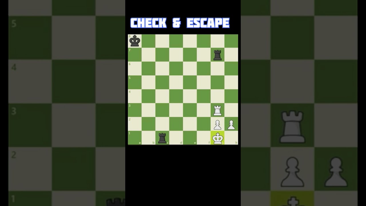 Check & Escape, Save Your King 