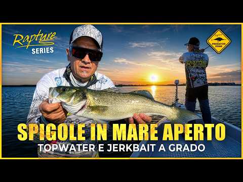 COME CATTURARE LE SPIGOLE A GRADO, TOPWATER E JERKBAIT | Predator Zone 2026