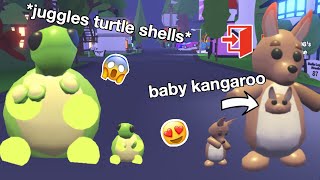 How To Make Your Kangaroo Have A Baby In Adopt Me Herunterladen - how to look pregnant on roblox adopt me