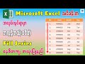 အလုပ်လုပ်ရာမှာ အလွန်အသုံးဝင်တဲ့ Fill Series အသုံးပြုနည်း အမျိုးမျိုး | Microsoft Excel - Fill Series