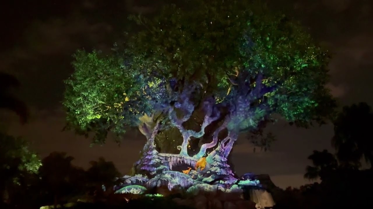 Animal Kingdom - Tree of Life Awakening Christmas 3 of 3 - 11/7/2025 - 4k