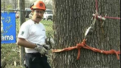 Dynamometer Drop Tests part 1