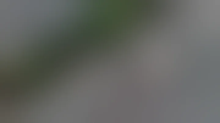 Caught on camera: Bike-riding monkey grabs toddler in Indonesia