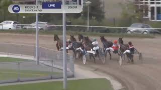 Vidéo de la course PMU ZETURF LIVE PRIJS