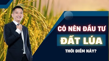 Có nên đầu tư Đất Lúa thời điểm này không? Trần Văn Định