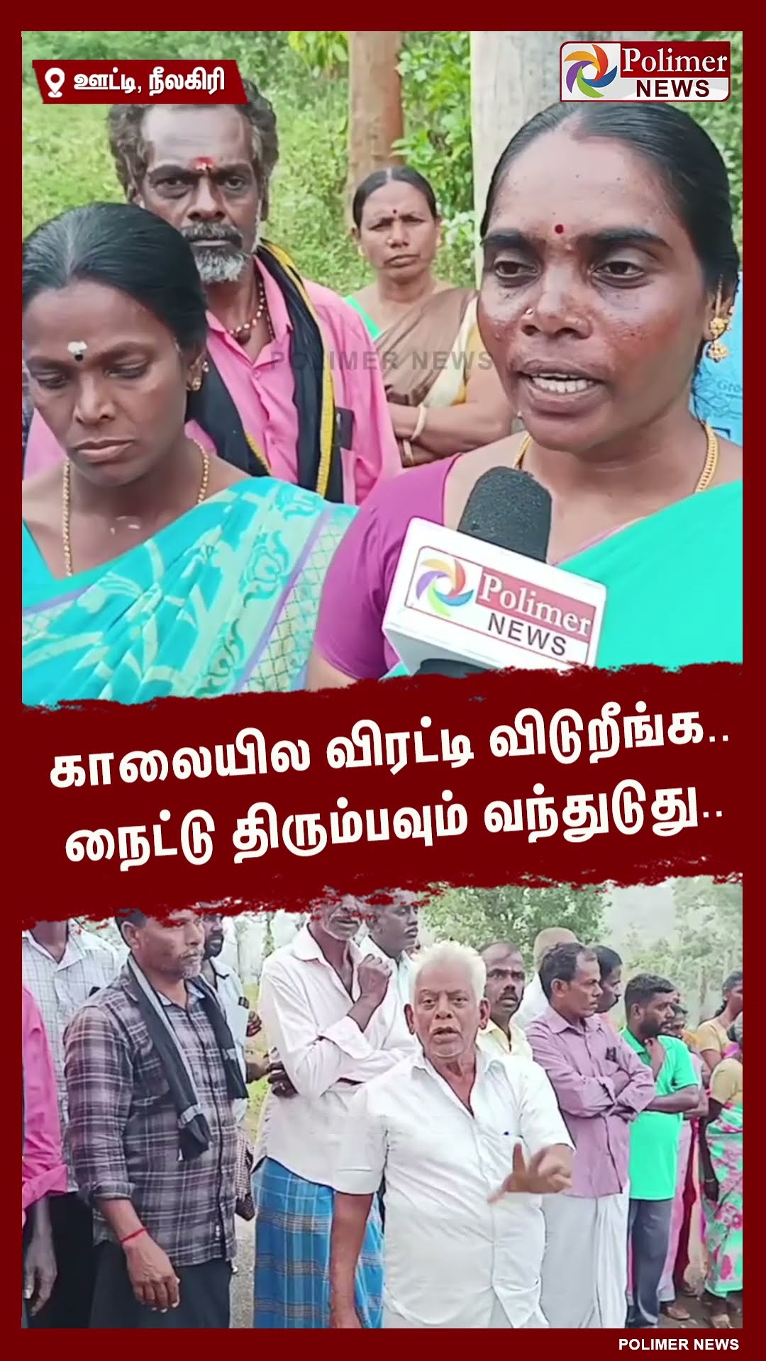 காலையில விரட்டி விடுறீங்க.. நைட்டு திரும்பவும் வந்துடுது.. #shorts | #elephant