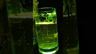 Ağaç Altında Keyif. Rahatlama Videosu.