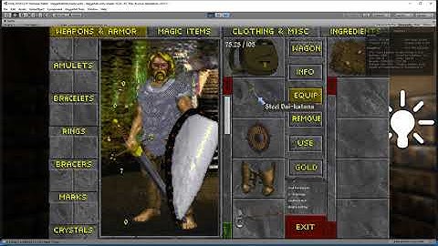 Daggerfall MOD Ambidexterity, Shields, & Full Parry Mechanics Done