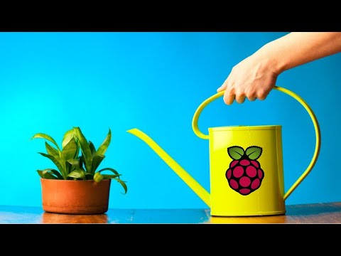 CS50 Final Project: Raspberry Pi Watering App with Flask.