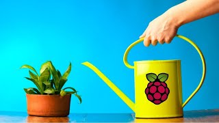 CS50 Final Project: Raspberry Pi Watering App with Flask.