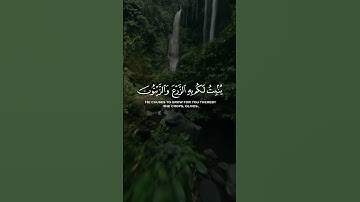 تلاوة خاشعة للقارئ ياسر الدوسري #قرآن #quran #yasser_aldosary #ياسر_الدوسري #المغرب #العراق #تركيا