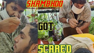 SHAMBOOMassage during Rain and SHAMBHOO got ScaredMASTER ASMR#ASMR