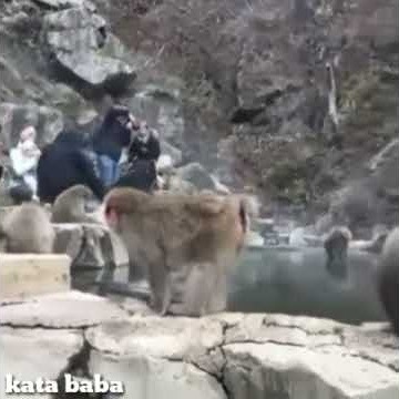 Kata baba kocak gile suer(2)