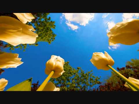 Andy Tau - Ellipsis (Original Mix)
