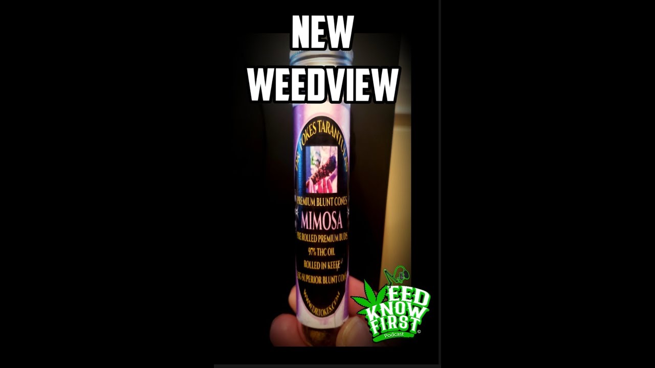 Weed Know First Podcast Weedview Dr  Tokes Tarantula Mimosa