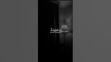 القارئ عبد الرحمن مسعد - أَفَلَا يَتُوبُونَ إِلَى اللَّهِ #اكسبلور #short