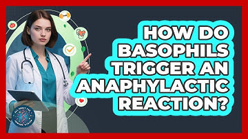 How Do Basophils Trigger An Anaphylactic Reaction? - All About the Immune System