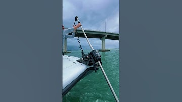 Power-Pole MOVE Trolling Motor