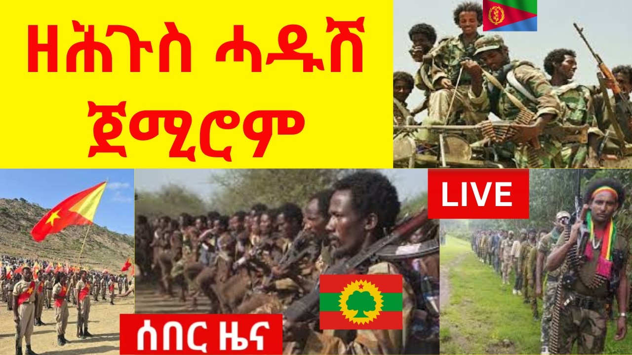 ዘሕጉስ ሓዱሽ ንአቢይ ዘርዓደ ጀሚሮም